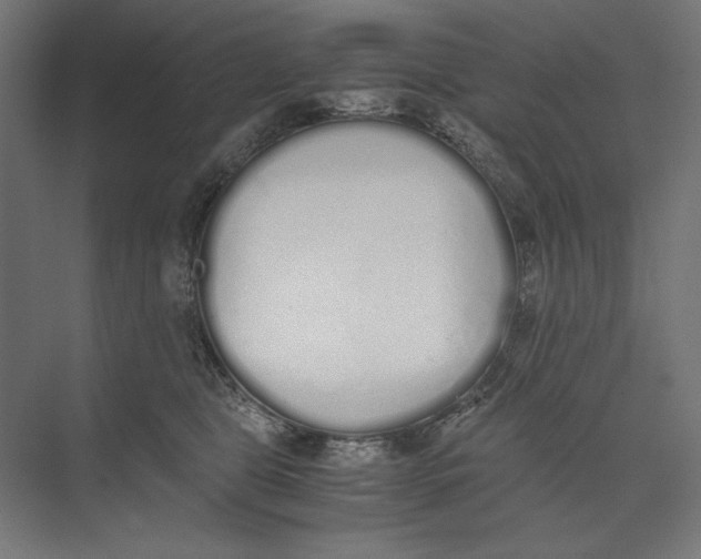 X0000073840469200609071545