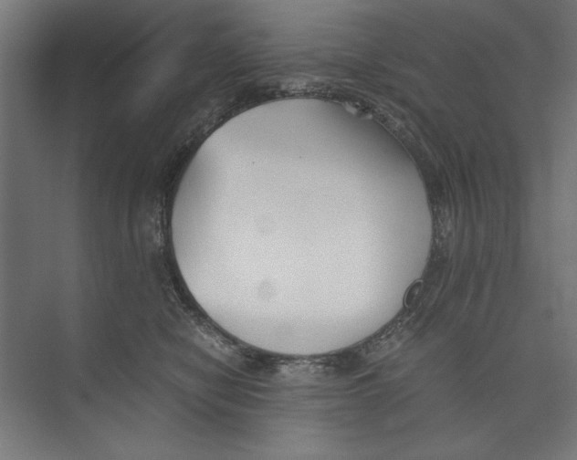 X0000073840470200609071545