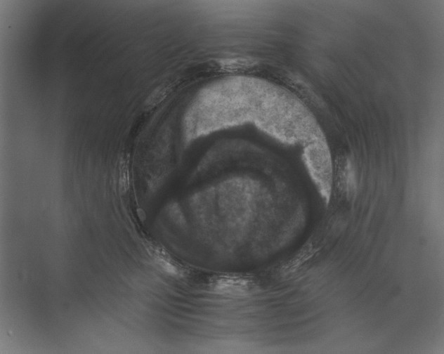 X0000073840471200609071546