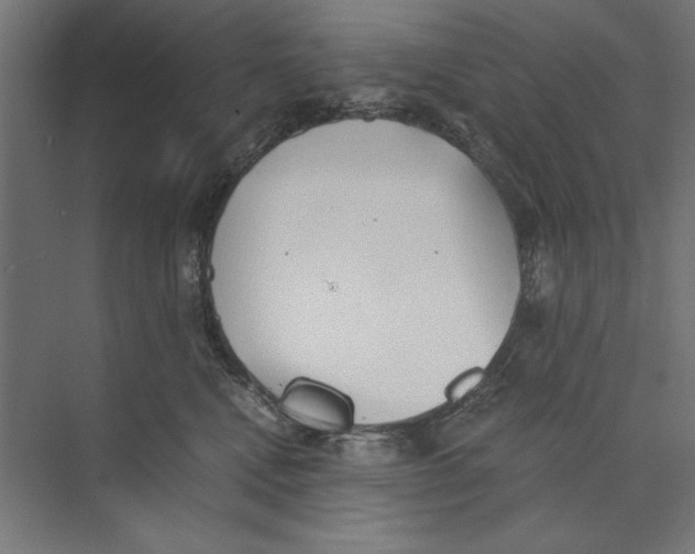 X0000073840472200609071546