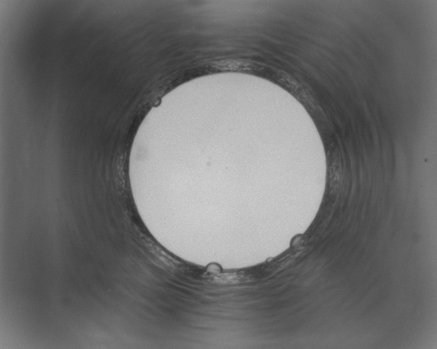 X0000073840473200609071546