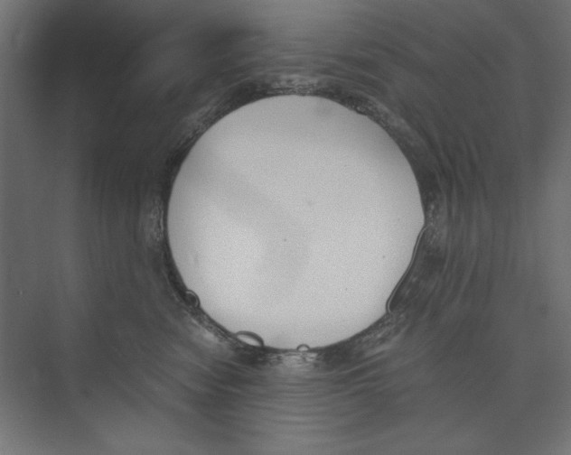 X0000073840474200609071546