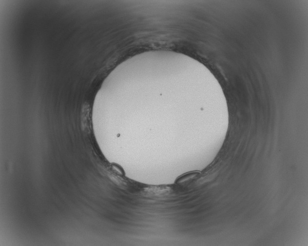 X0000073840480200609071546