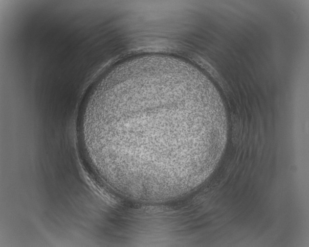 X0000073840482200609071545