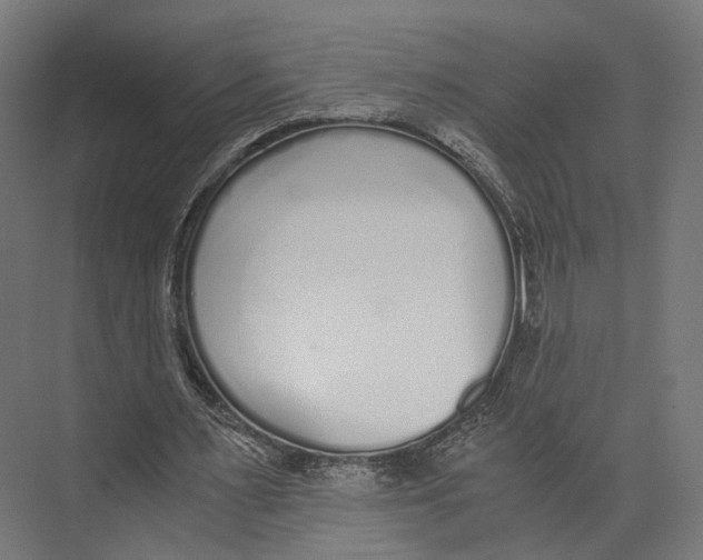 X0000073840483200609071545