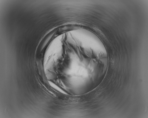 X0000073840484200609071545