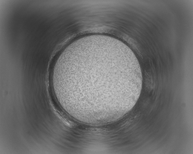 X0000073840486200609071545