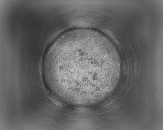 X0000073840487200609071545