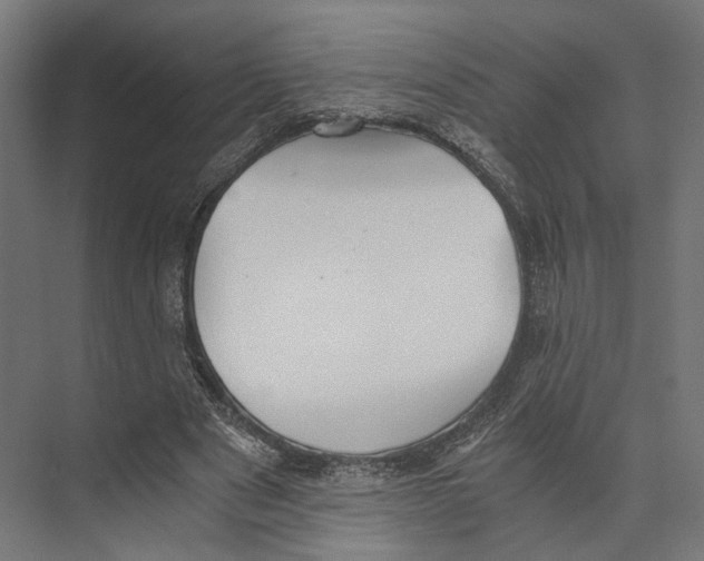 X0000073840489200609071545