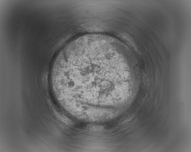 X0000073840491200609071545