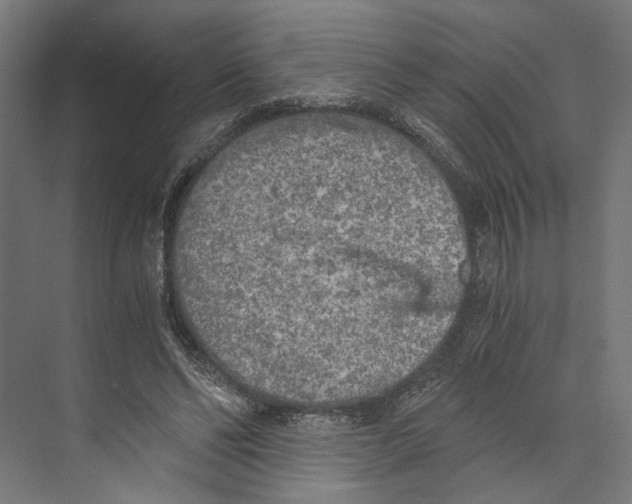 X0000073840494200609071545