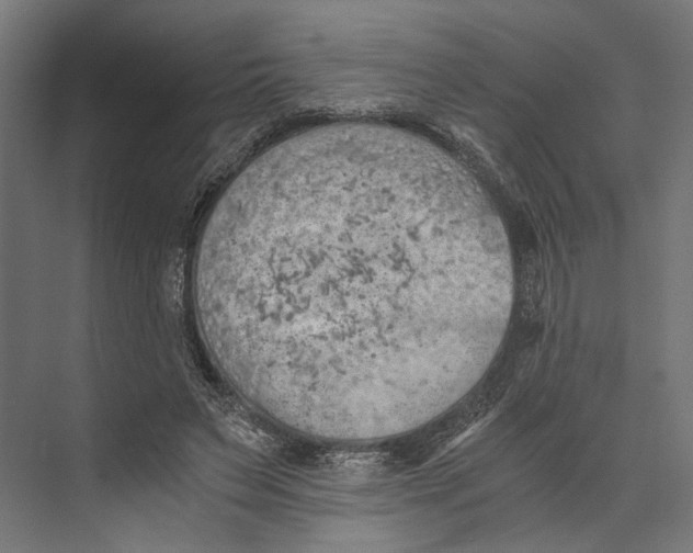 X0000073840495200609071545