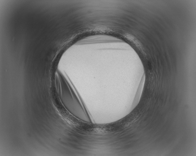 X0000073840496200609071545