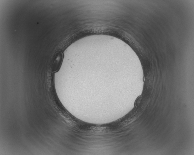 X0000073840497200609071545