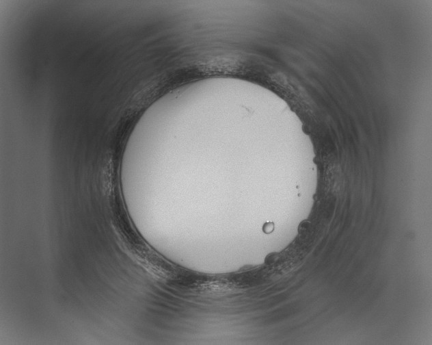 X0000073840498200609071545