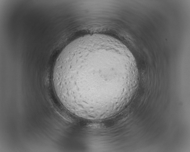 X0000073840499200609071545