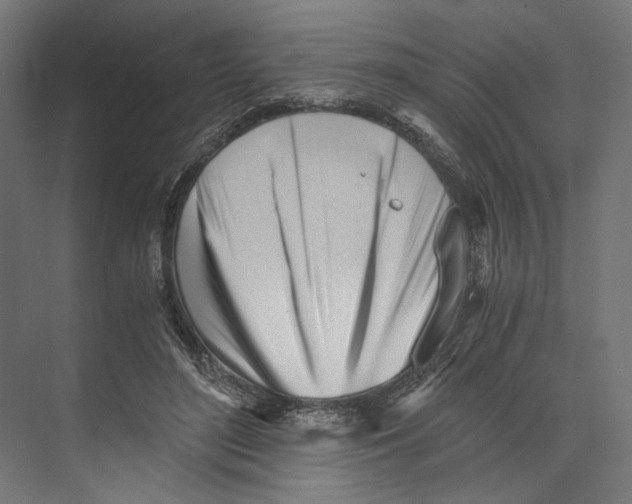 X0000073840500200609071545