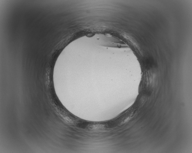 X0000073840501200609071545