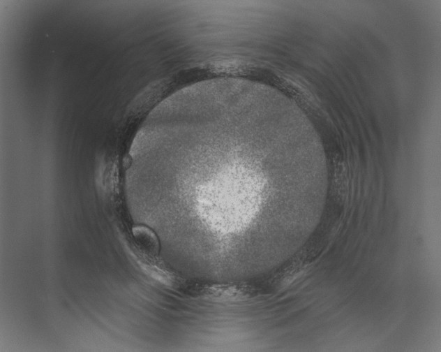 X0000073840502200609071544