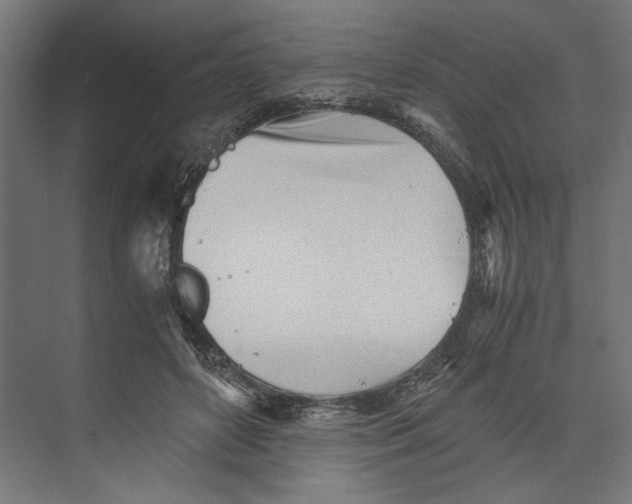 X0000073840504200609071544