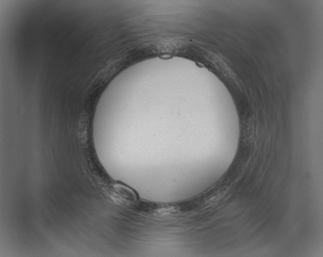 X0000073840505200609071544