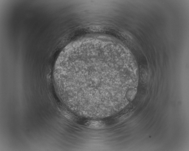 X0000073840507200609071544