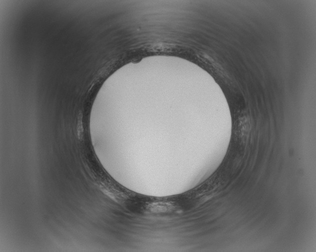 X0000073840508200609071544