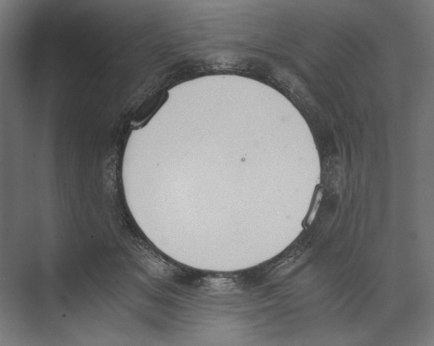 X0000073840509200609071544