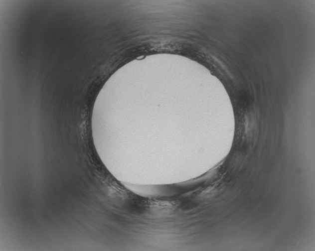 X0000073840513200609071544