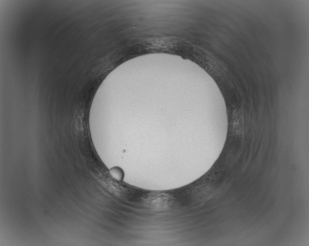 X0000073840514200609071544