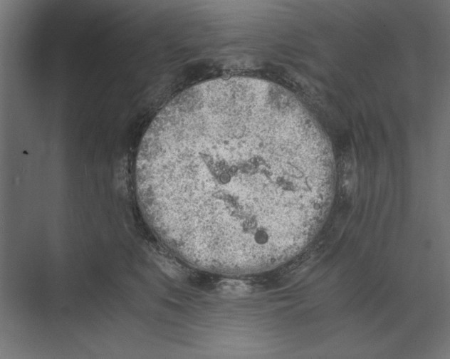 X0000073840519200609071544