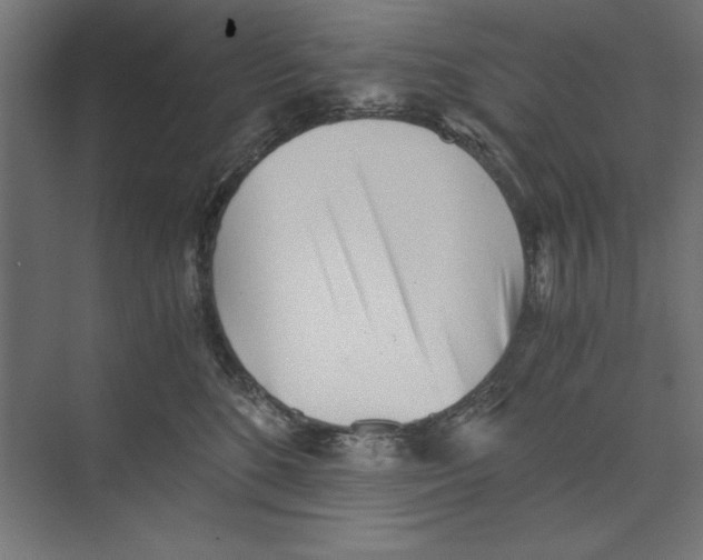 X0000073840520200609071544