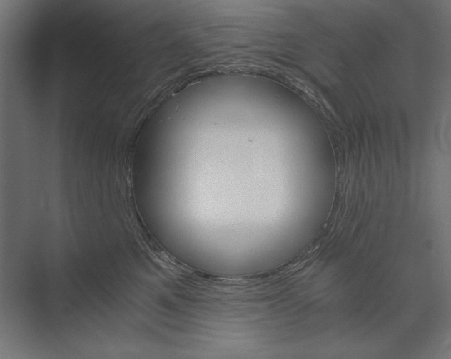 X0000073840521200609071544