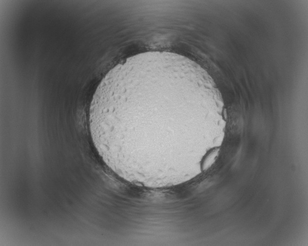 X0000073840523200609071544