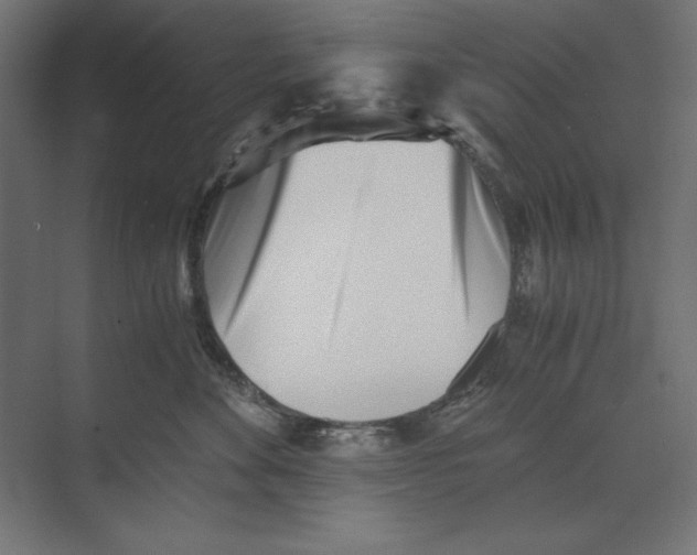 X0000073840524200609071544