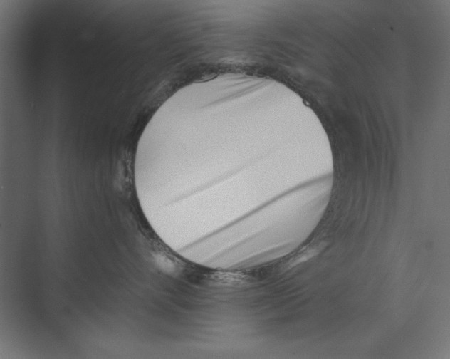 X0000073840528200609071544