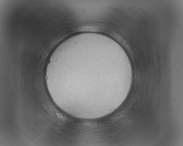 X0000073840529200609071543