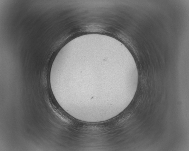 X0000073840533200609071543