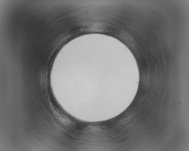 X0000073840534200609071543