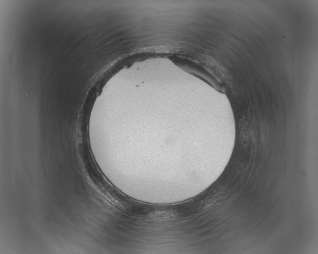 X0000073840536200609071543