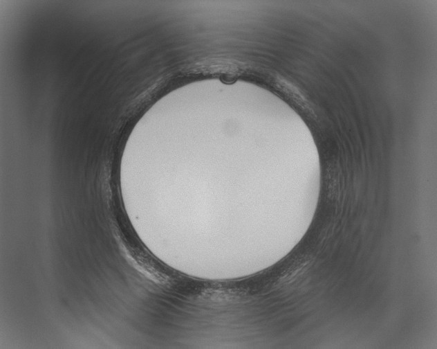 X0000073840538200609071543