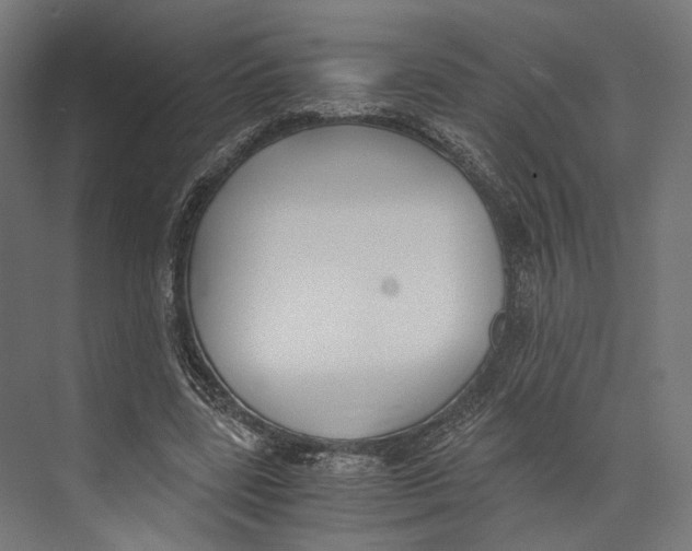 X0000073840539200609071543