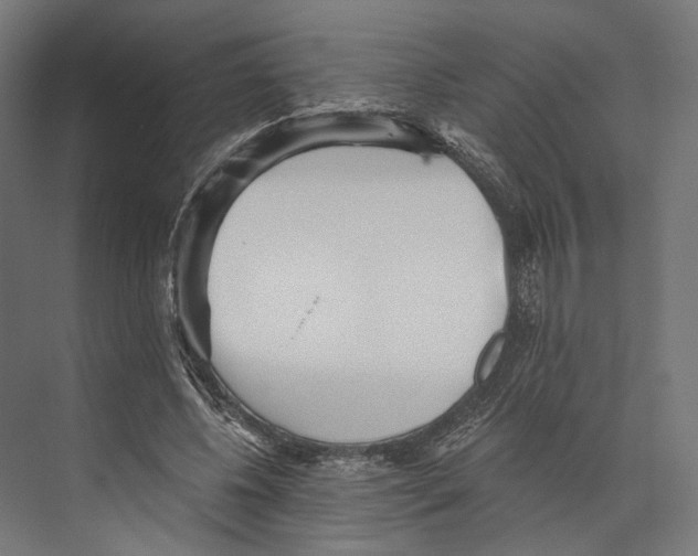 X0000073840540200609071543