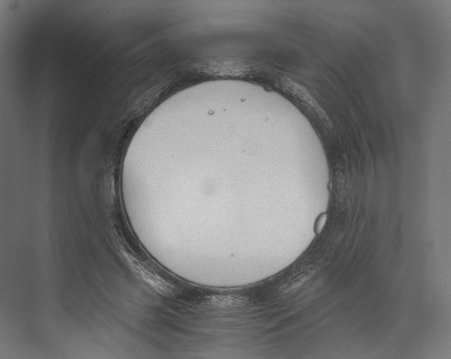 X0000073840541200609071543