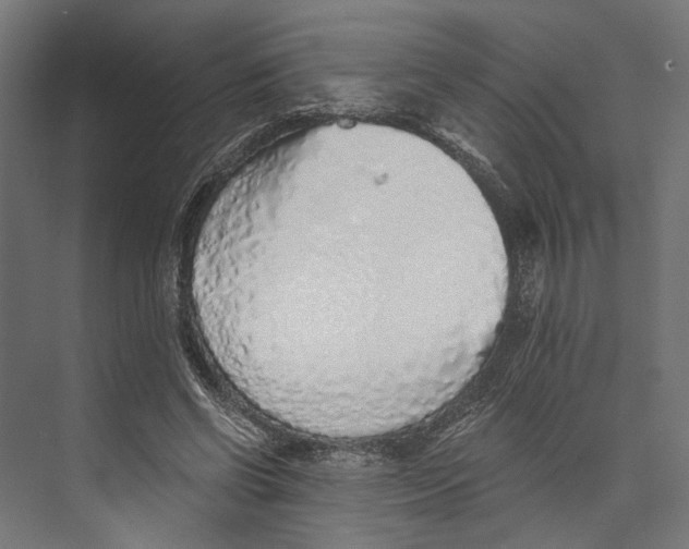 X0000073840542200609071543