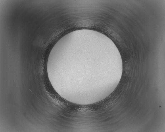 X0000073840544200609071543