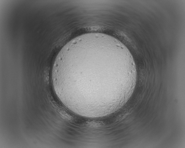 X0000073840545200609071543