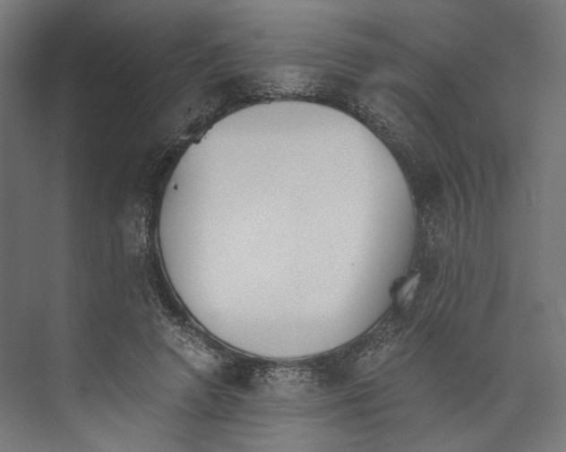 X0000073840546200609071544