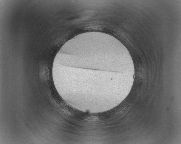 X0000073840551200609071544