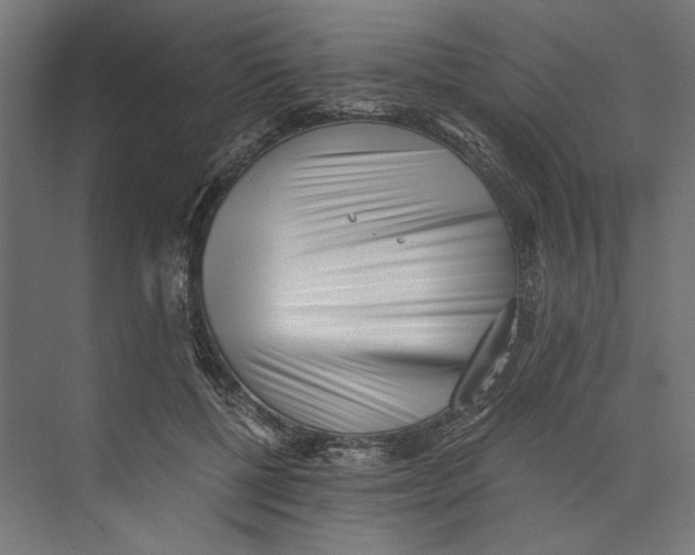 X0000073840552200609071544